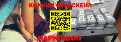 a pvp Камышлов
