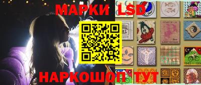 a pvp Камышлов