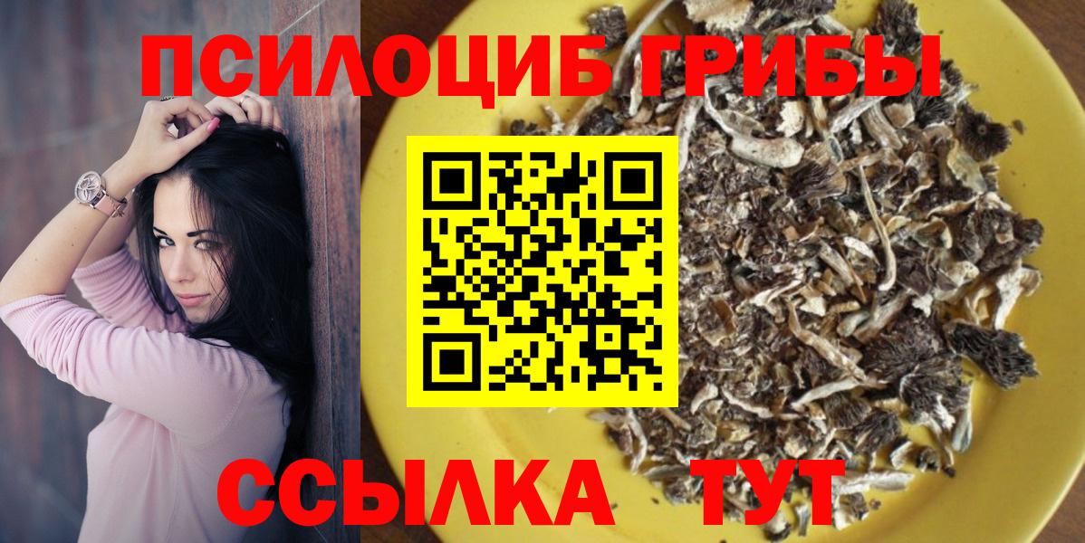 Псилоцибиновые грибы Psilocybine cubensis  Вход с VPN  Тверь  Псилоцибиновые грибы прущие грибы 